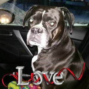 Meet your Posher, Joella